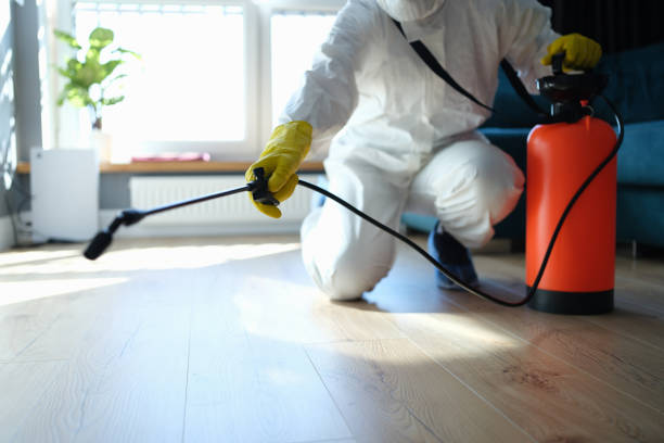 Reliable Odor Removal contractor in East Flat Rock, NC by Trauma Clean Pros
